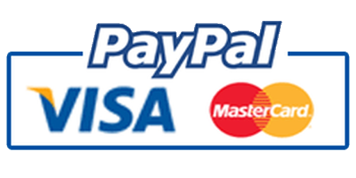Visa and Mastercard Payment Methods are Accepted via PayPal